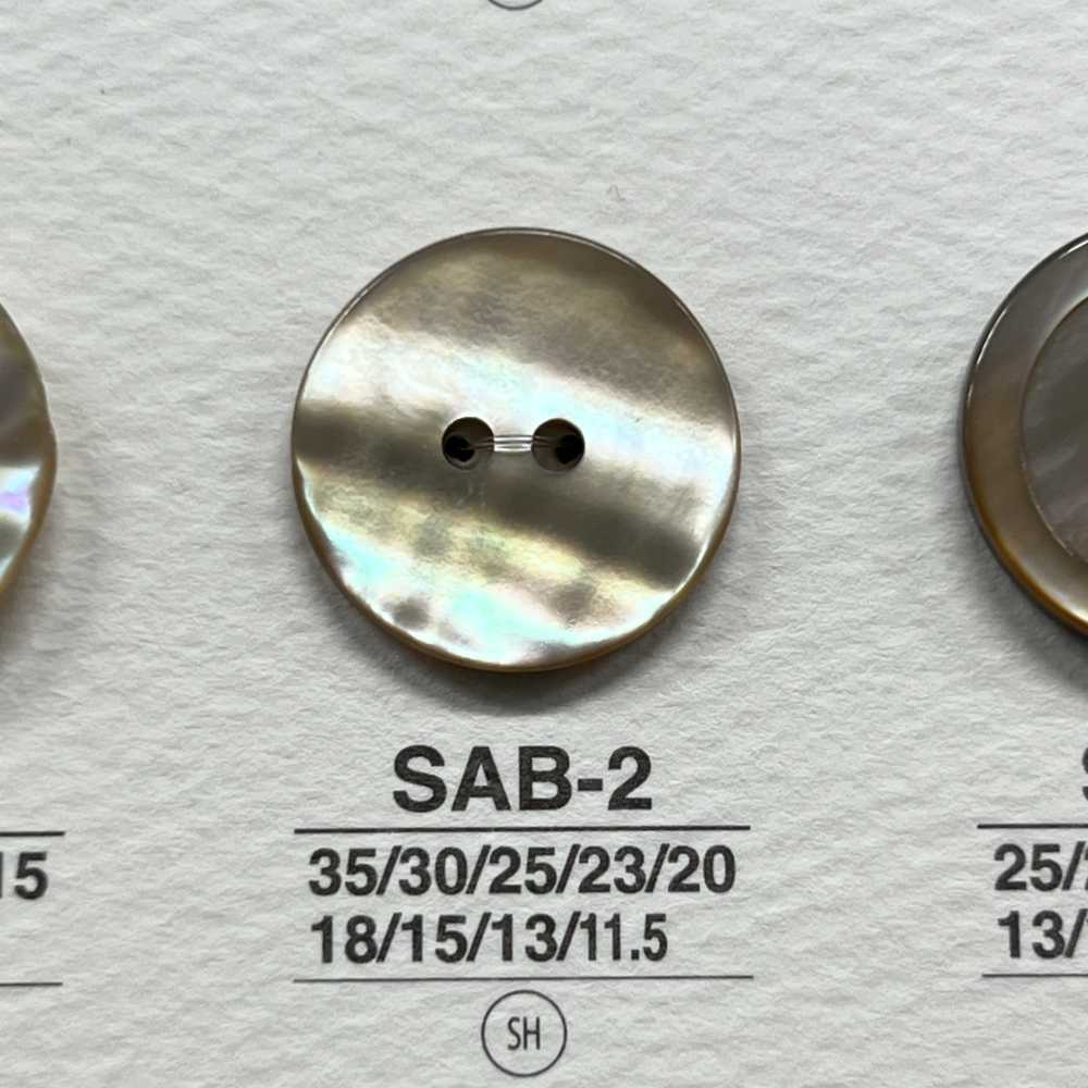 SAB2 Natural Material Shell 2 Holes Glossy Button IRIS