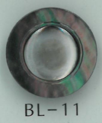 BL-11 Shell Button With Legs Sakamoto Saji Shoten