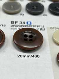 BF34 Nut-like Button IRIS Sub Photo