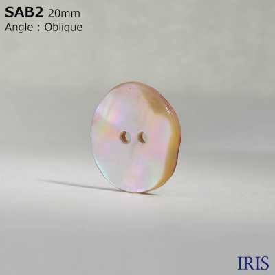 SAB2 Natural Material Shell 2 Holes Glossy Button IRIS Sub Photo