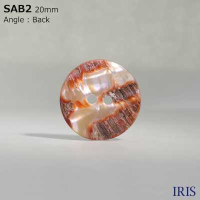 SAB2 Natural Material Shell 2 Holes Glossy Button IRIS Sub Photo
