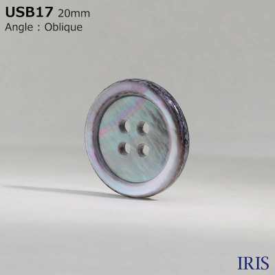 USB17 Natural Dyed Material, Mother Of Pearl Shell, 4 Holes On The Front, Glossy Buttons IRIS Sub Photo