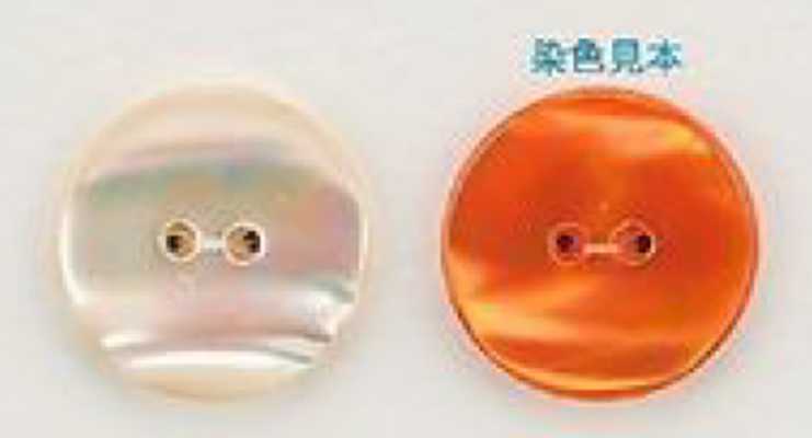 USO8 Natural Material Shell Dyed Front Hole 2 Holes Glossy Button IRIS Sub Photo