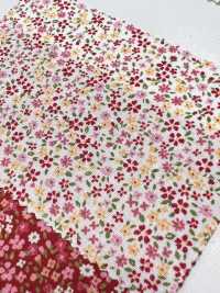 6110 SEVENBERRY Broadcloth Floret Pattern[Textile / Fabric] VANCET Sub Photo