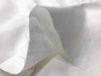 19936 Cotton Double Gauze 40/1[Textile / Fabric] Sub Photo