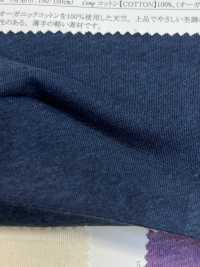 14603 Organic Cotton Top Gauze Jersey[Textile / Fabric] SUNWELL Sub Photo