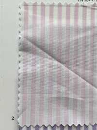 14152 Yarn 70s PIMA Ronst[Textile / Fabric] SUNWELL Sub Photo