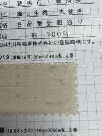 K1419 Fujikinbai Kinume Atsushi No. 79 Kibata[Textile / Fabric] Fuji Gold Plum Sub Photo
