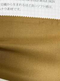 2561 2561 Cotton / Cupra Moleskin[Textile / Fabric] VANCET Sub Photo