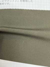 2442 Supima 100% 40 Typewritter Cloth Cloth[Textile / Fabric] VANCET Sub Photo