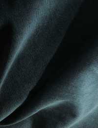 SB21212 Wide Width 21W Shirt Corduroy[Textile / Fabric] SHIBAYA Sub Photo