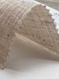 KYC439 Undyed Organic Cotton 40 Yoryu[Textile / Fabric] Uni Textile Sub Photo