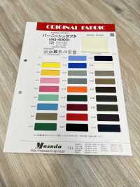 AG-4000 Burnish Taffeta[Textile / Fabric] Masuda Sub Photo