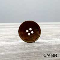 EXS-303 Domestic Shell Button For Suits And Jackets Yamamoto(EXCY) Sub Photo