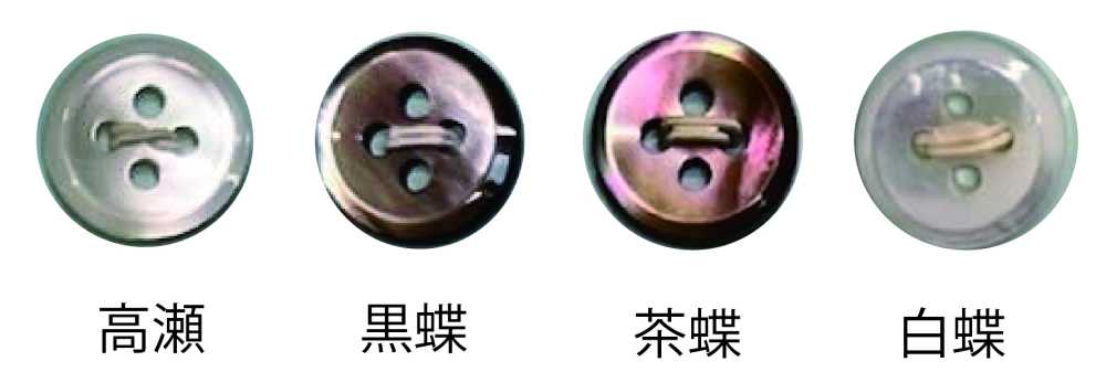 238 4-hole Shell Shell Button With Rim Tomoi