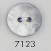 7123 Polyester Resin 2-hole Button