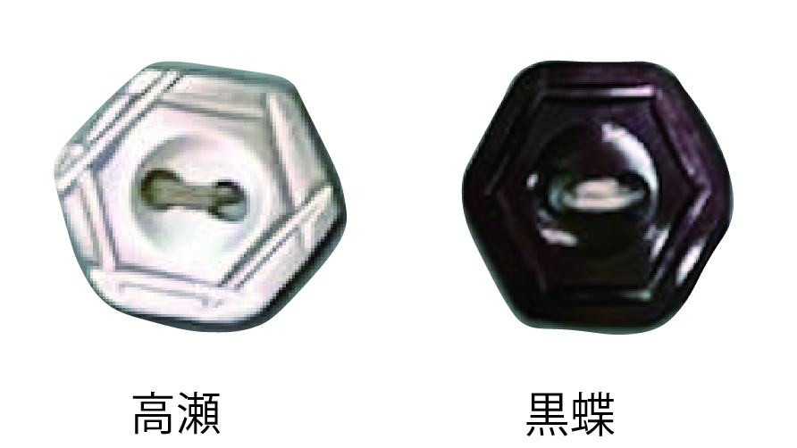 800 2-hole Hexagonal Shell Button Tomoi