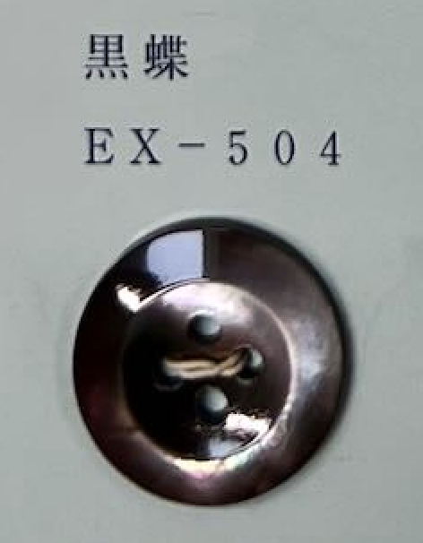 EX504 4 Holes, Bordered, Shell Button Tomoi