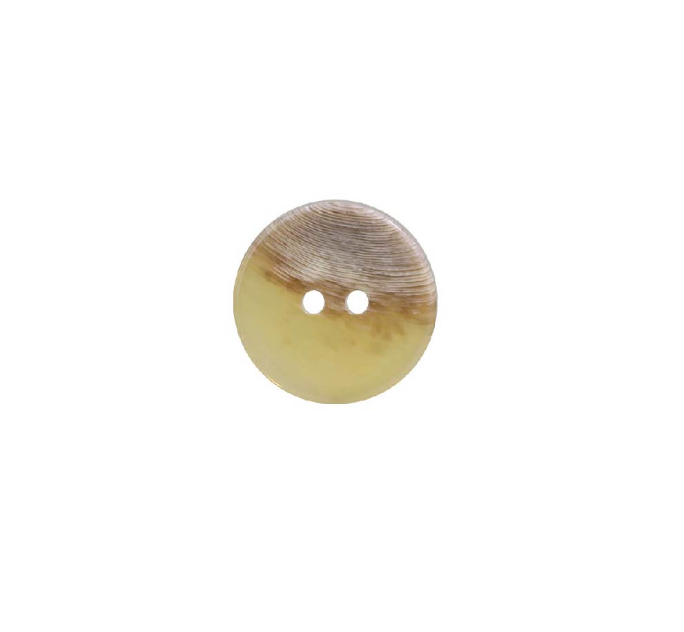 VT1001 Polyester Resin Two-hole Button IRIS