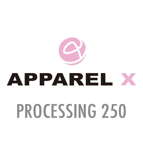 PROCESSING250 For Additional Orders Of Processing Fee (@250)[System]