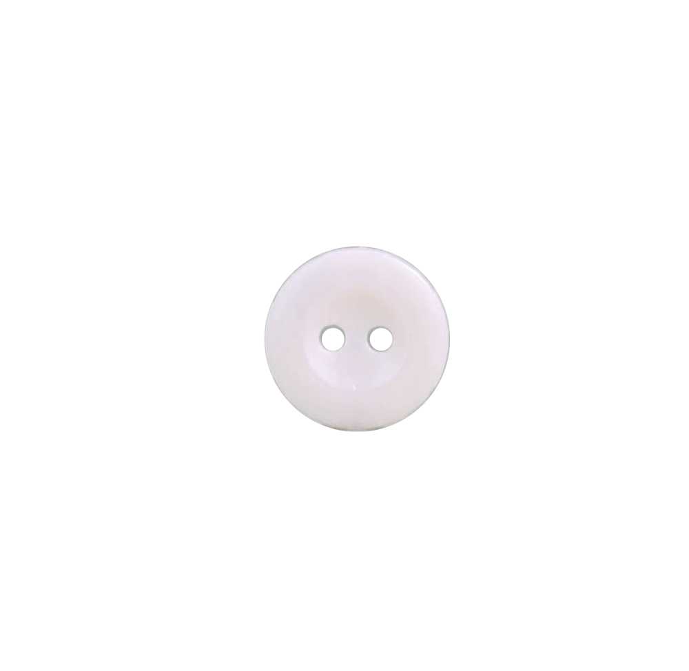 ECG2102P Polyester Resin Two-hole Button IRIS