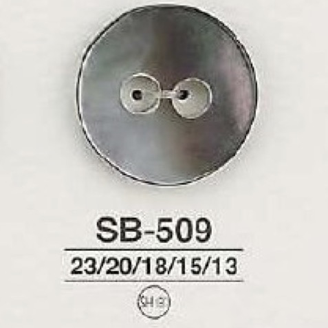 SB509 Mother Of Pearl Shell Lipped Shell Two-hole Button IRIS