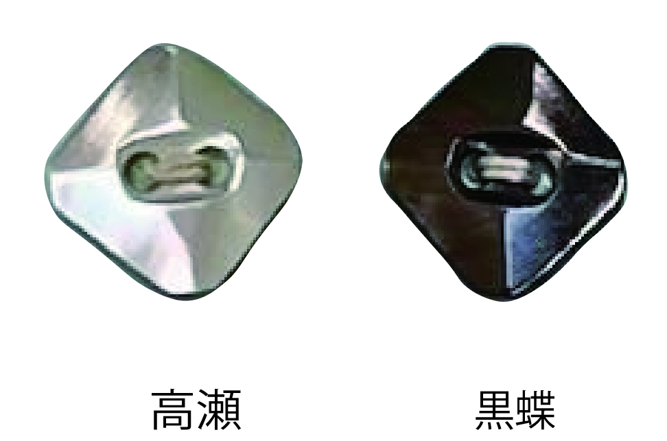 474 2-hole Borderless Shell Button Tomoi