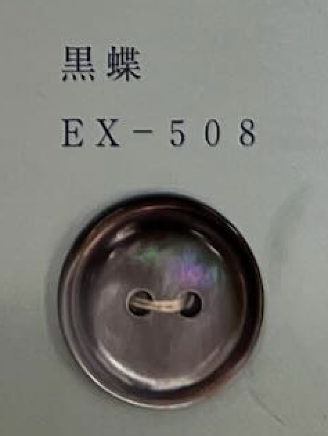 EX508 2 Holes, Bordered, Shell Button Tomoi