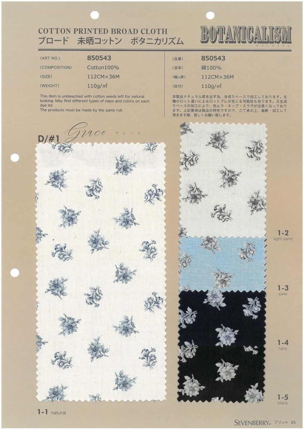 850543 Broadcloth Unbleached Cotton Botanicalism Grace[Textile / Fabric] VANCET