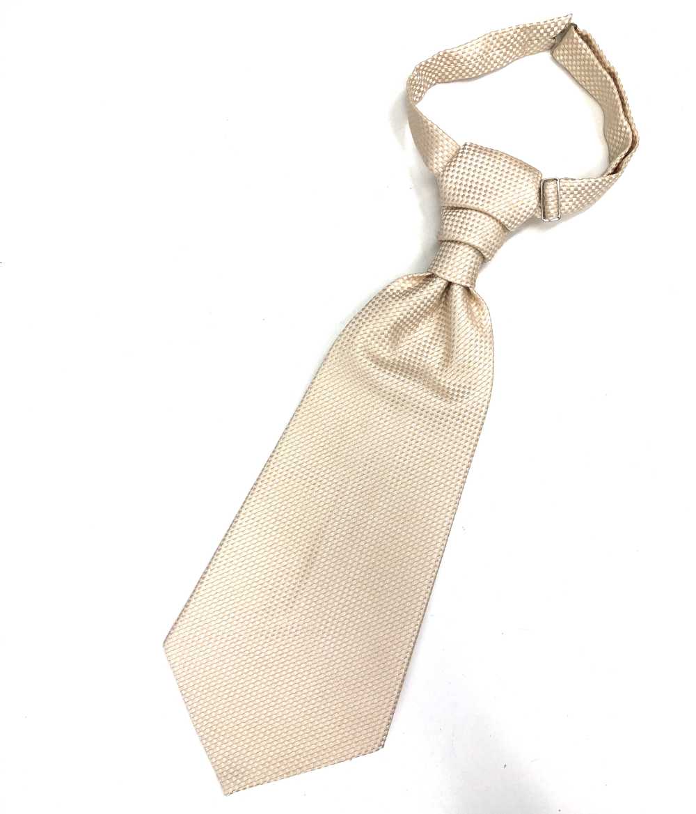 YT-26 Made In Japan Jacquard Ascot Tie(Europe Tie) Check Pattern Cream[Formal Accessories]