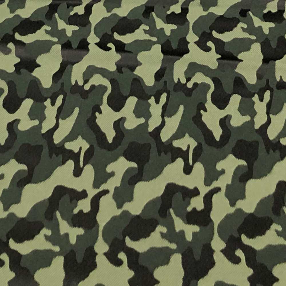 PTS-2 Pentagono (Silk Textile Camouflage Pattern [outlet]