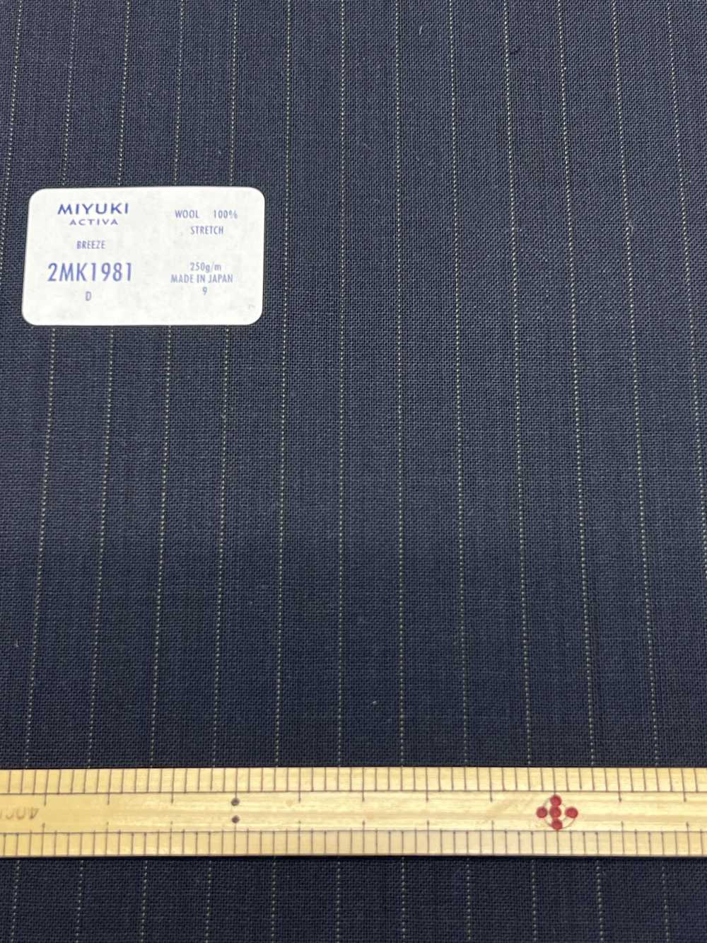 2MK1981 ACTIVA STRETCH Navy Stripe[Textile] Miyuki Keori (Miyuki)