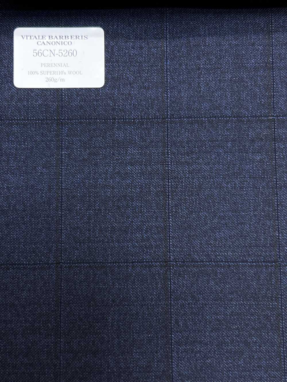 56CN5260 CANONICO (Canonico) PERENNIAL-CLASSICS Navy Blue Windowpane[Textile] CANONICO