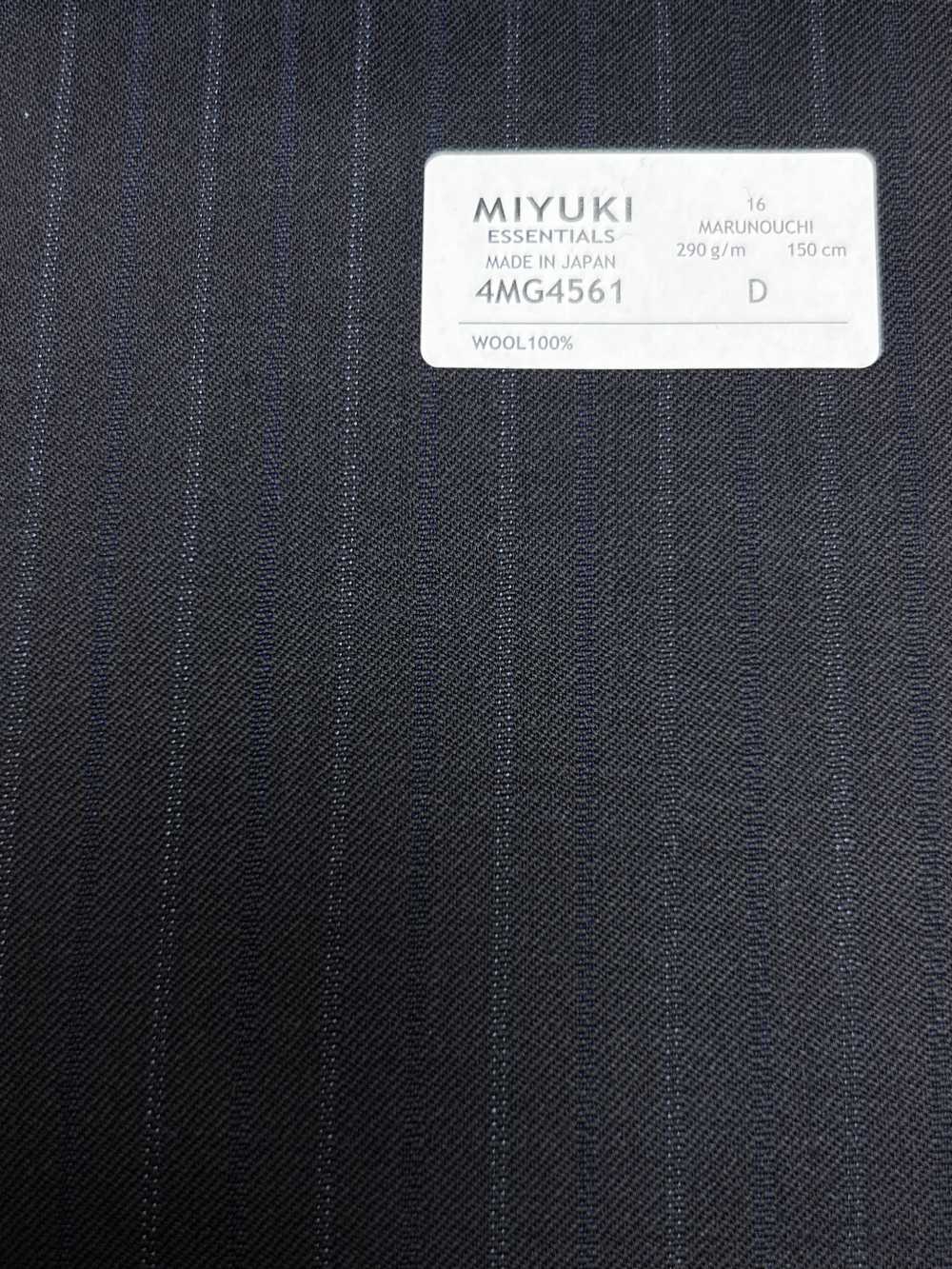 4MG4561 26AW MARUNOUCHI Twill Navy Stripe[Textile] Miyuki Woolen Mills