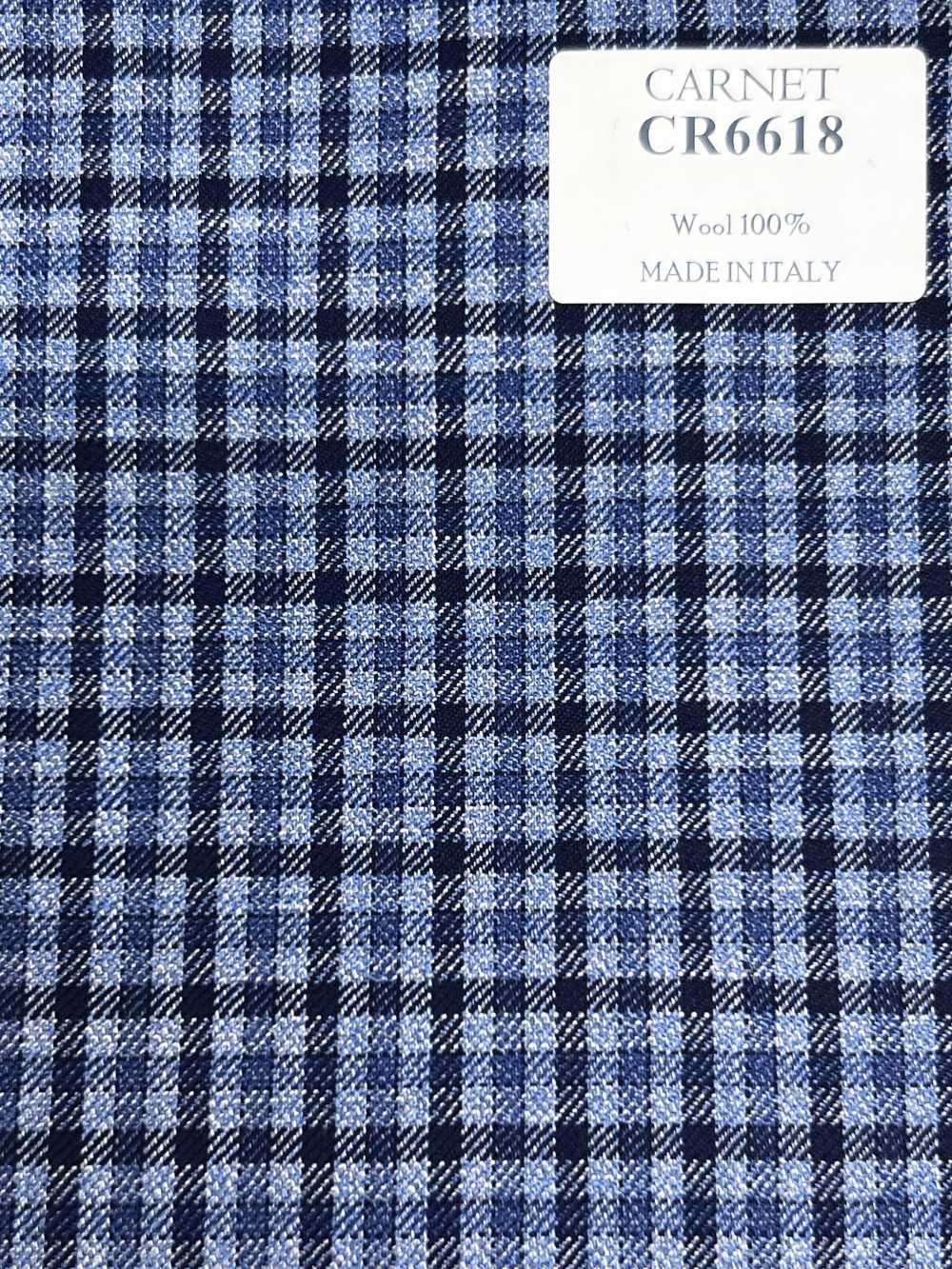 CR6618 CARNET Saxe Check[Fabric] HOSOI SYOJI