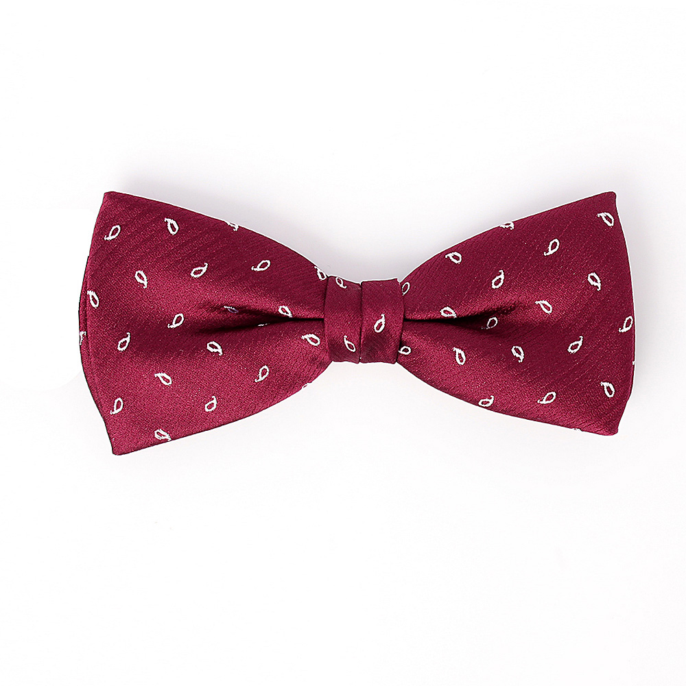 VBF-24 VANNERS Textile Used Bow Tie Paisley Dot Wine[Formal Accessories] Yamamoto(EXCY)