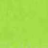 Muscat Green Muscat Green