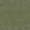 Pale Khaki Pale Khaki