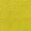 Canary Canary