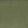 Grass Green
