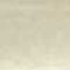 Cream Yellow