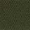 Sap Green Sap Green