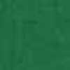 Frog Green