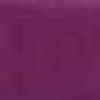 Grape Grape