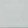 Light Gray Light Gray