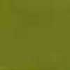 Olive Green Olive Green