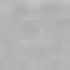 Snow Gray