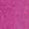 Fuchsia Fuchsia