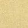 Light Brown Light Brown