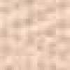 Shell Pink Shell Pink